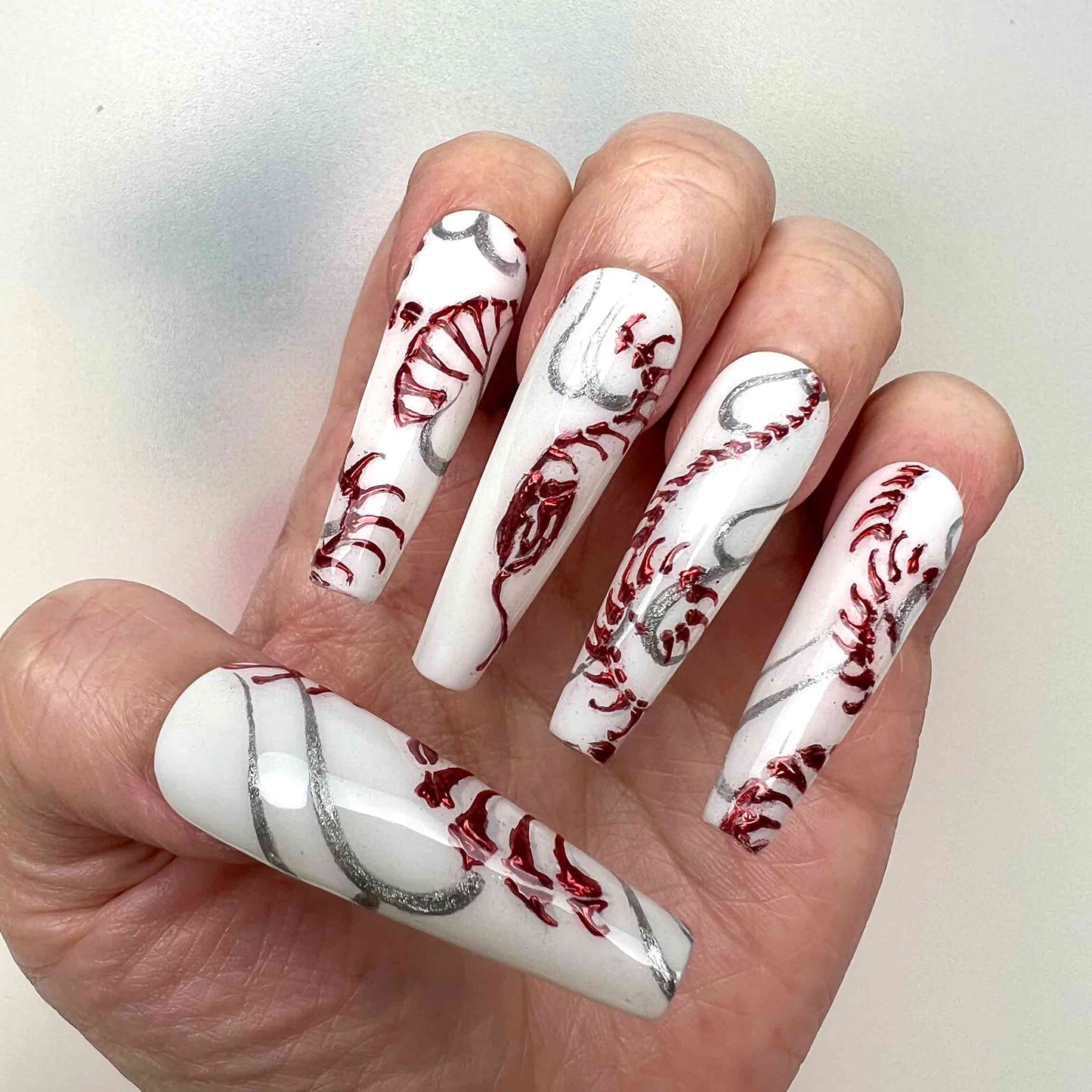 Venomous Edge Snake Bone